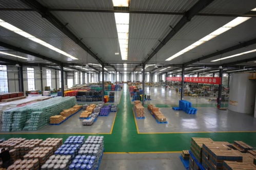 英萊殼智慧工廠 超凡技術(shù)全解密與信息技術(shù)開發(fā)深度融合